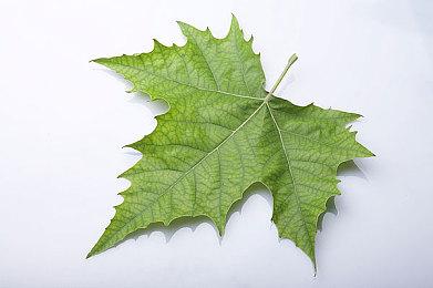 TGA 2023：《碧海黑帆》2024年2月16日发售