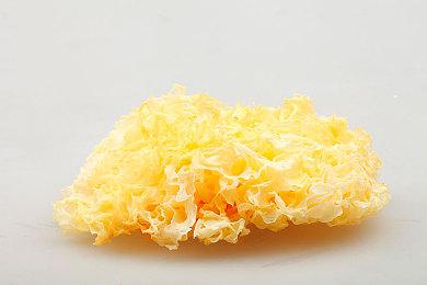 展开『蕾斯莱莉娅娜』的新冒险，《炼金工房》新作将于PS5＆PS4＆NS＆Steam上登场